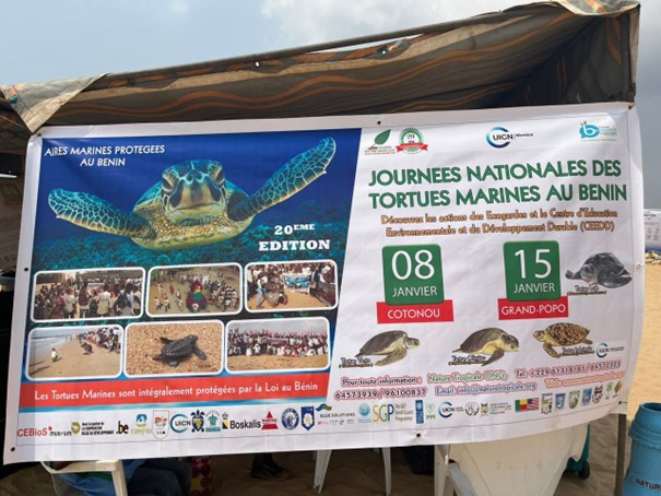 Affiche Journée Nationale des tortues marines